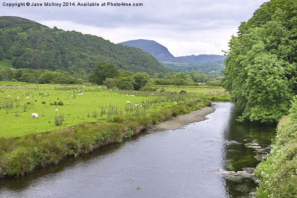 River Dwyryd Wales Picture Board by Jane McIlroy