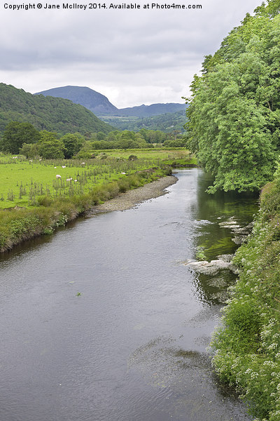 River Dwyryd Wales Picture Board by Jane McIlroy
