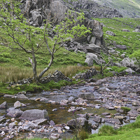 Buy canvas prints of Mountain Stream by Jane McIlroy