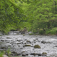 Buy canvas prints of Horseshoe Falls Wales by Jane McIlroy