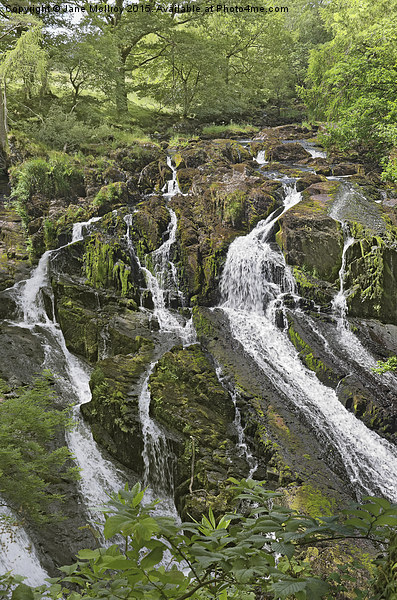 Swallow Falls Picture Board by Jane McIlroy