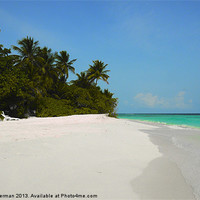Buy canvas prints of Maldives beach and palm trees by steve akerman
