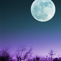 Buy canvas prints of Once in a Blue Moon by Liz Ward