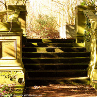 Buy canvas prints of Steps in the Sunshine by Liz Ward