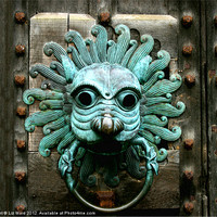 Buy canvas prints of The Brougham Knocker by Liz Ward