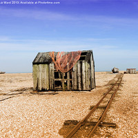Buy canvas prints of Dungeness Fishing Hut by Liz Ward