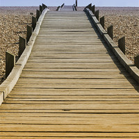 Buy canvas prints of Dungeness Foot Path by Liz Ward