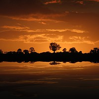 Buy canvas prints of Reflective sunset by Liz Ward