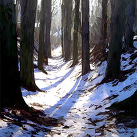 Buy canvas prints of Winter Trees by Trevor Butcher