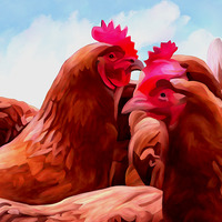 Buy canvas prints of  The Chickens by Trevor Butcher