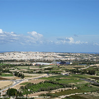 Buy canvas prints of malta landscape by allan somerville
