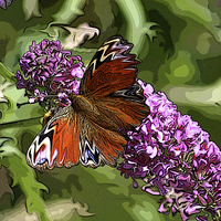 Buy canvas prints of butterfly on buddleia by allan somerville
