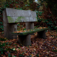 Buy canvas prints of Autumn Bench by Mark Harrop