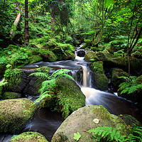 Buy canvas prints of Gorgeous green stream by Mark Harrop