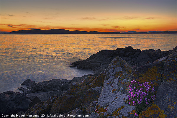 Portencross Sunset Scotland Picture Board by Paul Messenger