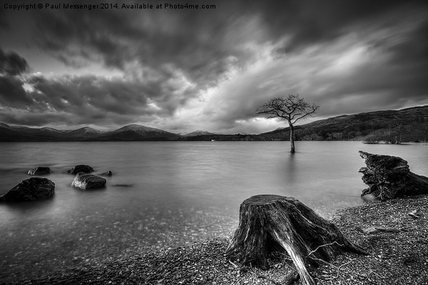 Loch Lomond Scotland Picture Board by Paul Messenger