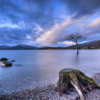 Buy canvas prints of Milarrochy bay Loch Lomond Scotland by Paul Messenger
