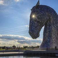 Buy canvas prints of  The Kelpies by Paul Messenger