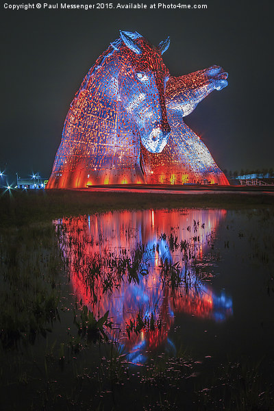  Red Kelpie Night Time Picture Board by Paul Messenger