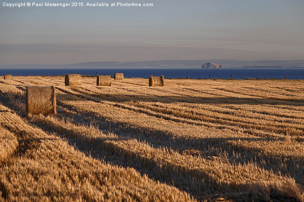  Hay Bails with Bass Rock Picture Board by Paul Messenger