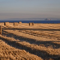 Buy canvas prints of  Hay Bails with Bass Rock by Paul Messenger