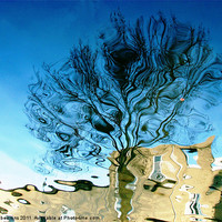 Buy canvas prints of blue lagoon by Jo Beerens