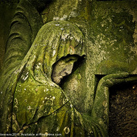 Buy canvas prints of mossy mourner by Jo Beerens