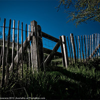 Buy canvas prints of the gate by Jo Beerens