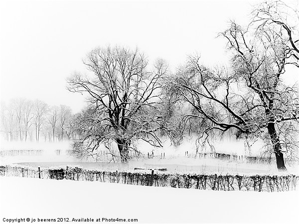 a winter scene Picture Board by Jo Beerens
