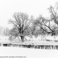 Buy canvas prints of a winter scene by Jo Beerens