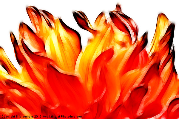 dahlia on fire Picture Board by Jo Beerens