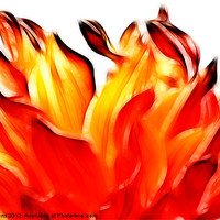 Buy canvas prints of dahlia on fire by Jo Beerens