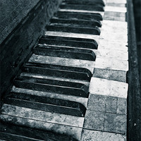 Buy canvas prints of piano keys by Jo Beerens