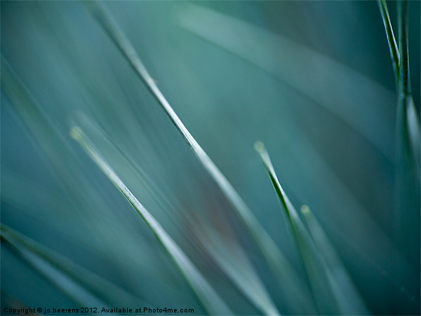 grass abstract Picture Board by Jo Beerens