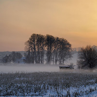 Buy canvas prints of mist above the snow by Jo Beerens
