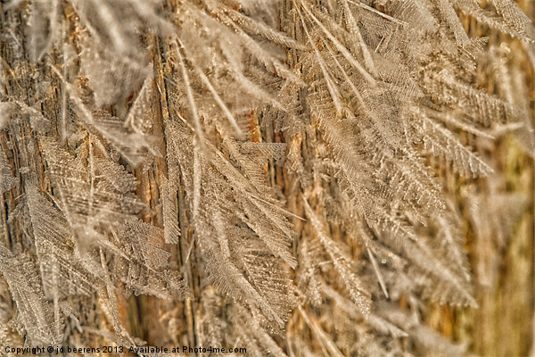 feathery frost Picture Board by Jo Beerens