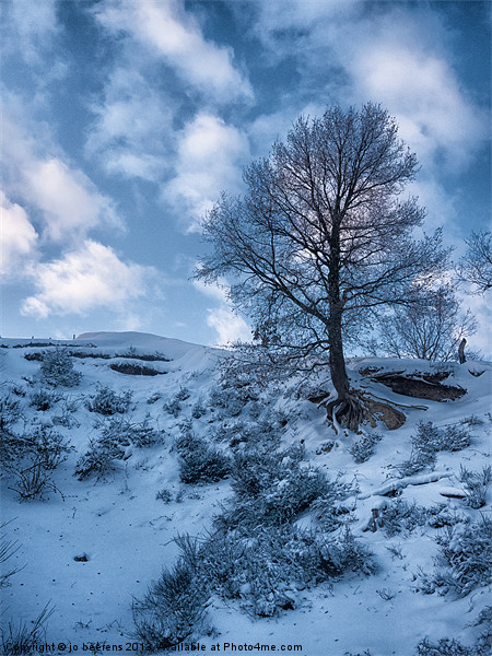 winter scene Picture Board by Jo Beerens