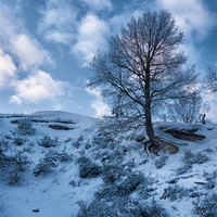 Buy canvas prints of winter scene by Jo Beerens