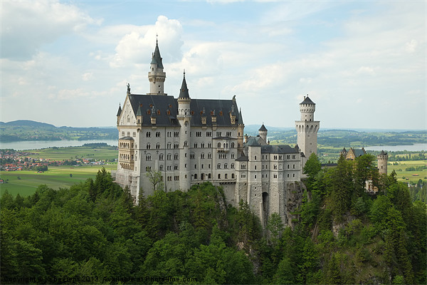 Neuschwanstein Castle Picture Board by Jo Beerens