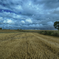 Buy canvas prints of after the harvest by Jo Beerens