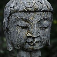 Buy canvas prints of Buddha on a stick by Jo Beerens