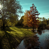 Buy canvas prints of fall light by Jo Beerens