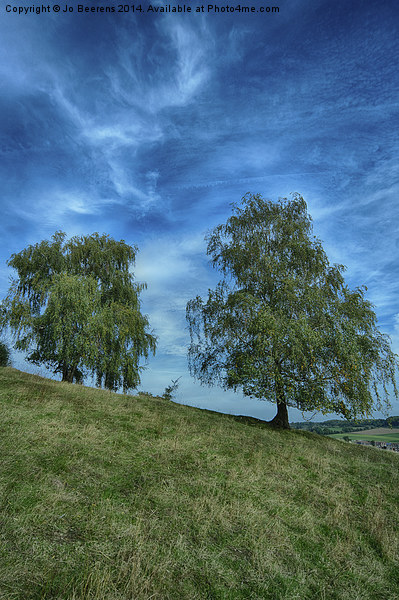 hillside birch trees Picture Board by Jo Beerens