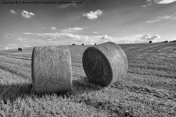 straw bales Picture Board by Jo Beerens