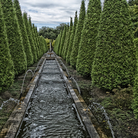Buy canvas prints of conifer lined water feature by Jo Beerens