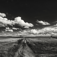 Buy canvas prints of drifting clouds by Jo Beerens