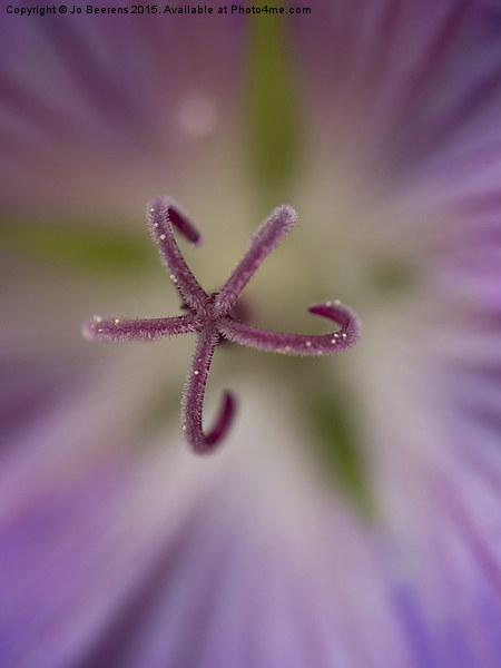 heart of the flower Picture Board by Jo Beerens