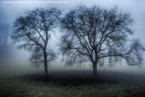 trees in the mist Picture Board by Jo Beerens