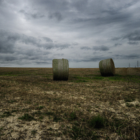 Buy canvas prints of straw bales by Jo Beerens