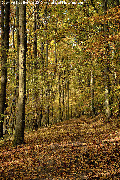 autumn forest Picture Board by Jo Beerens